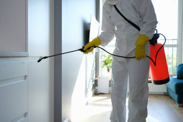 Reliable White Bear Lake, MN Mold Removal Solutions